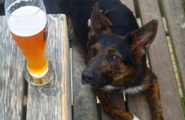 dog friendly pub Yorkshire dog friendly pub Yorkshire