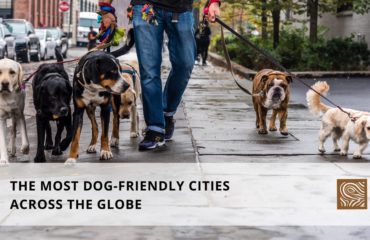 The Most Dog-Friendly Cities Across The Globe The Most Dog-Friendly Cities Across The Globe