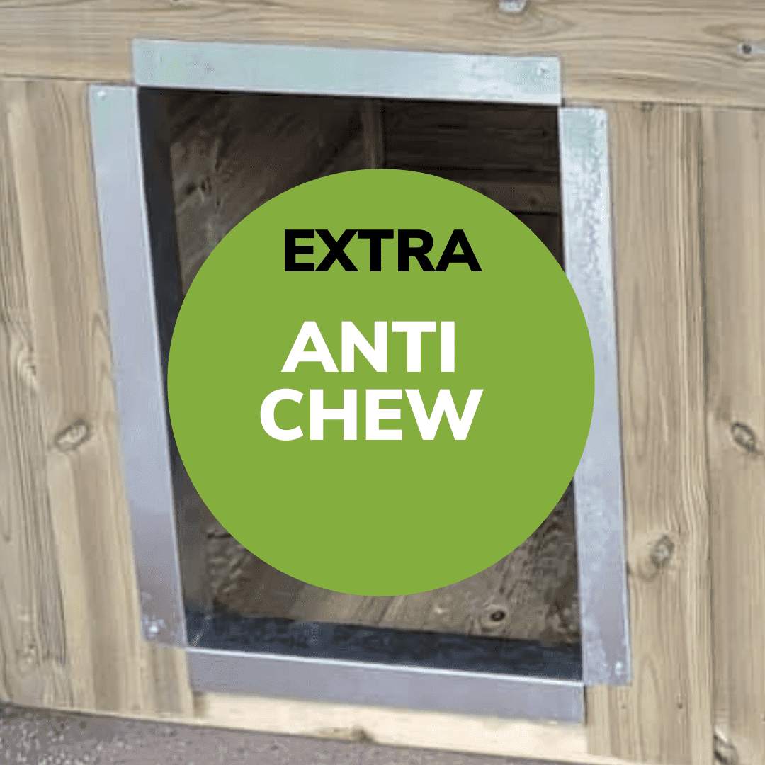 Anti Chew