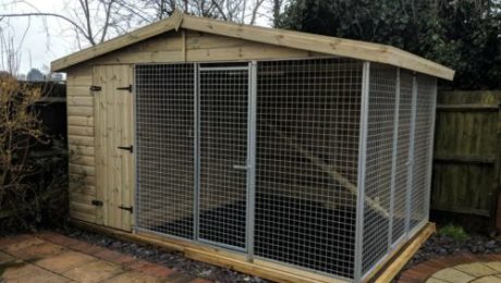 Cattery