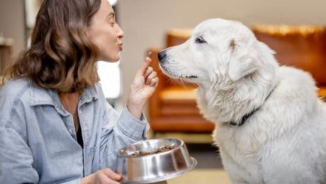 woman-feeding-a-dog-with-dry-food-2021-09-02-01-01-41-utc
