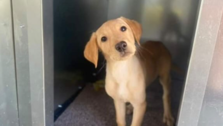 Screenshot 2024-05-28 143131